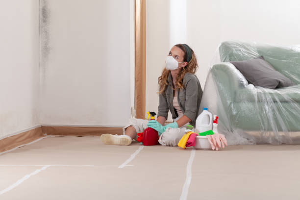 Reliable Basement Mold Removal contractor in Norfolk, MA by WQB Mold Removal